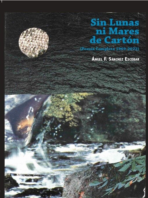 Title details for Sin lunas ni mares de cartón by Ángel Francisco Sánchez Escobar - Available